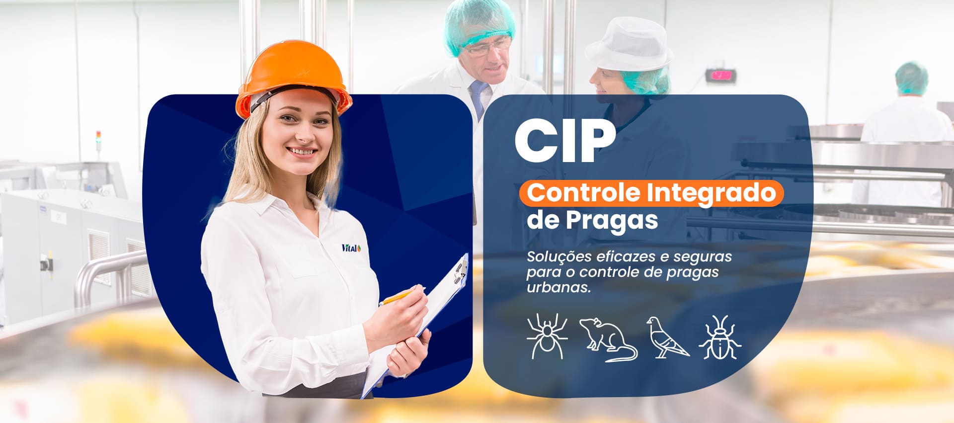 Controle de pragas profissional