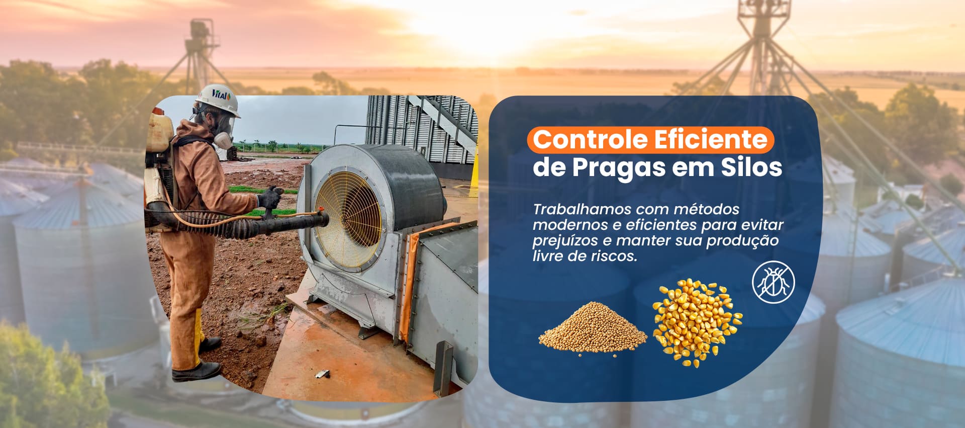 Controle de pragas profissional