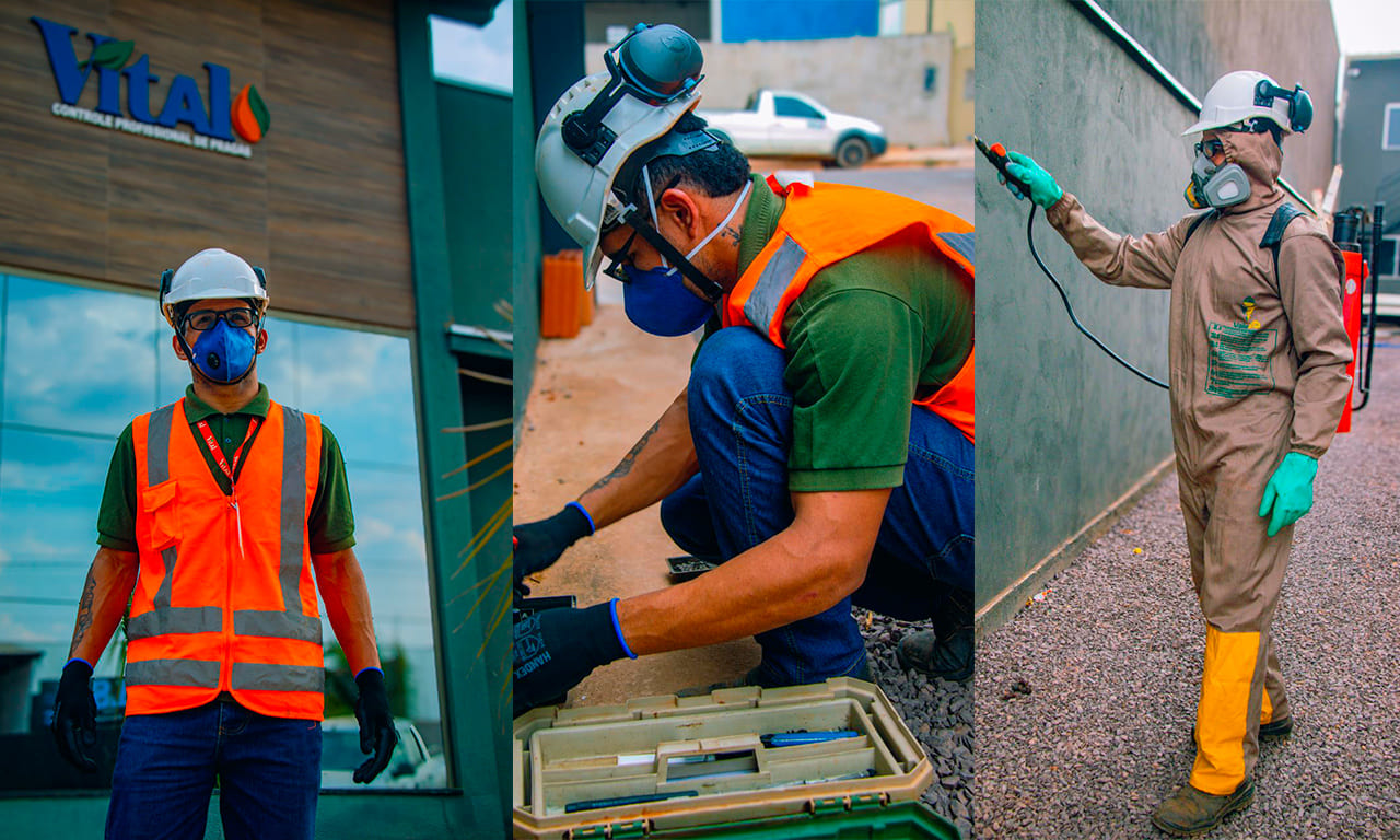 Programa CIP: a importância da prevenção contínua contra pragas