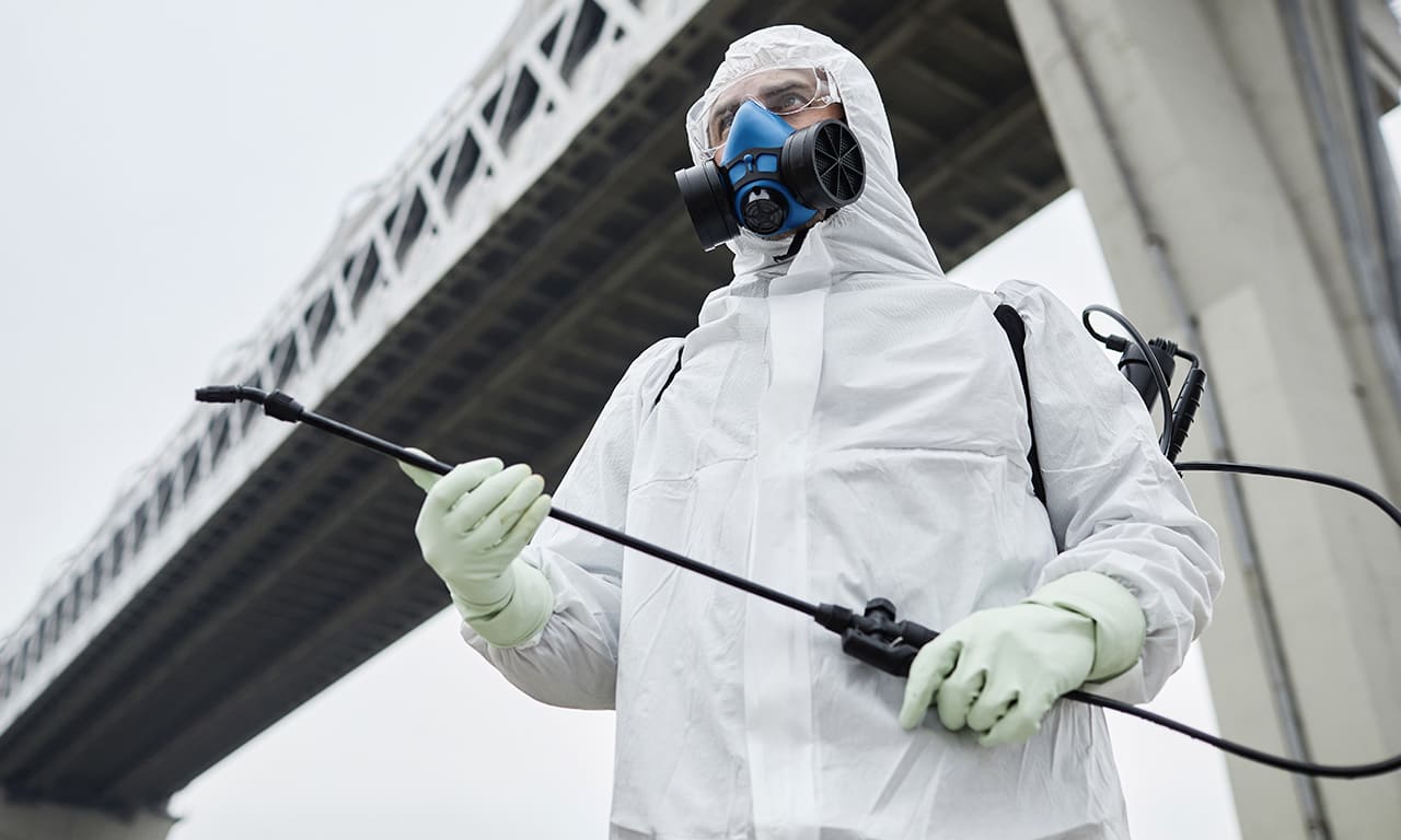 Controle de Pragas Urbanas