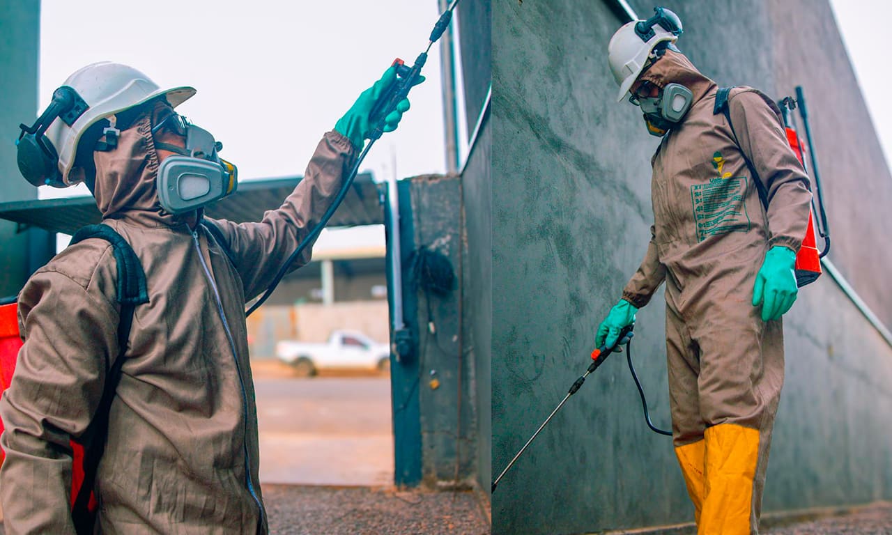 Desinsetização (Tratamentos Químicos)